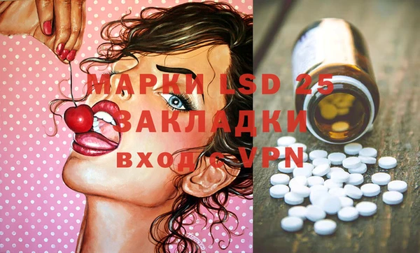 ПСИЛОЦИБИНОВЫЕ ГРИБЫ Кулебаки