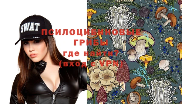ПСИЛОЦИБИНОВЫЕ ГРИБЫ Кулебаки