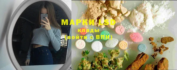 ПСИЛОЦИБИНОВЫЕ ГРИБЫ Кулебаки