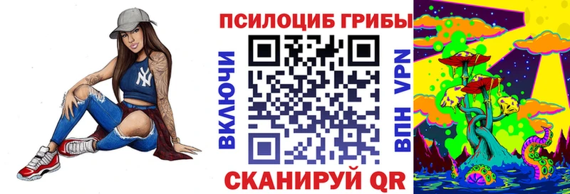 Купить где  Ижевск  Псилоцибиновые грибы Psilocybe 