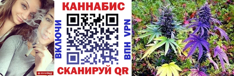 Марихуана OG Kush Купить где Ижевск